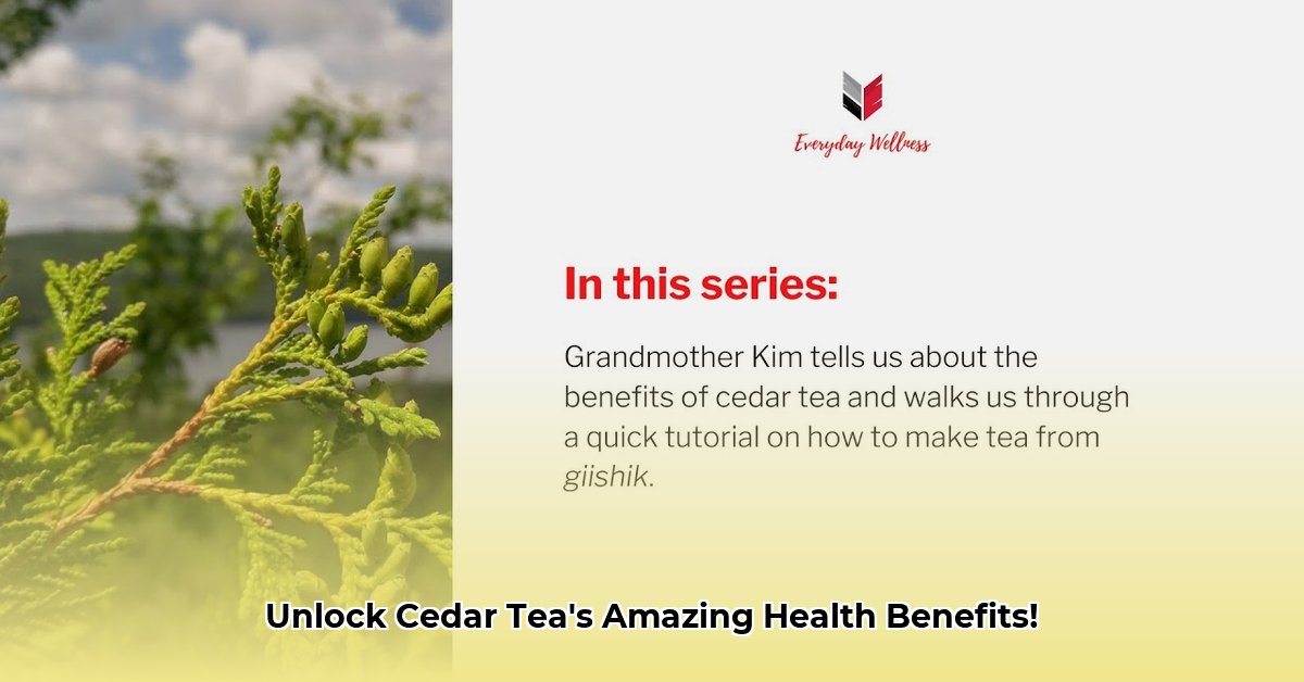 benefits-of-cedar-tea